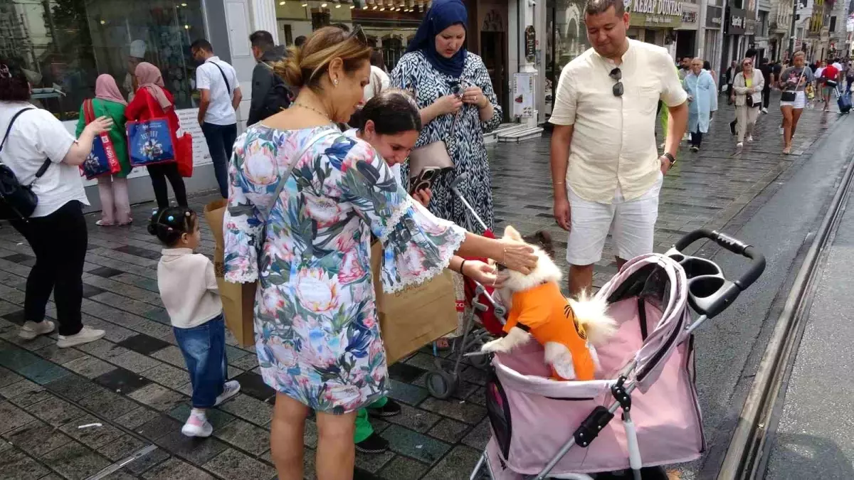 Taksim’de Bebek Arabasında Köpek İlgi Odağı Oldu